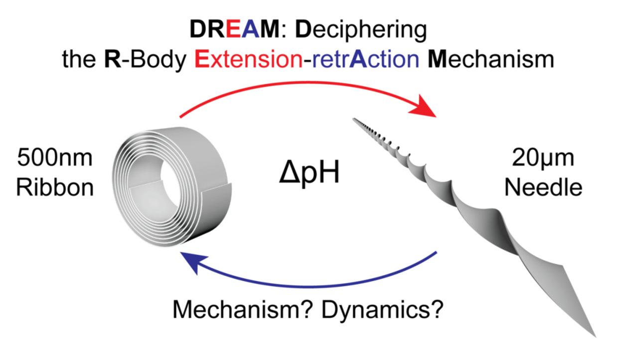 Image abstract of Dream project