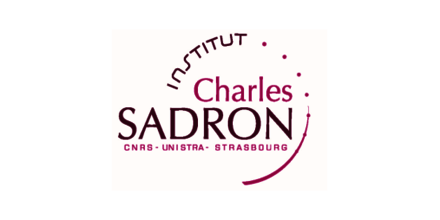 <strong>Logo ICS</strong>