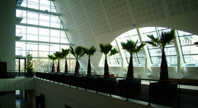 <strong>CDE Interieur</strong>