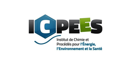 <strong>logo ICPEES</strong>